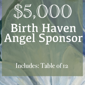 <br>BIRTH HAVEN ANGEL SPONSOR